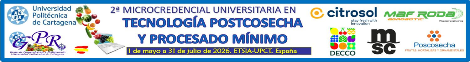 Curso UPCT 2026